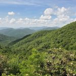 3 days in Chattahoochee National Forest and Savannah